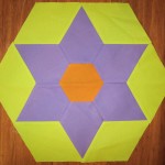 Dolly Madison Star block 7